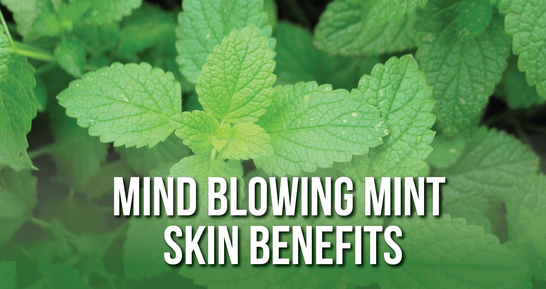 Mind Blowing Mint Skin Benefits | iHeart Nature